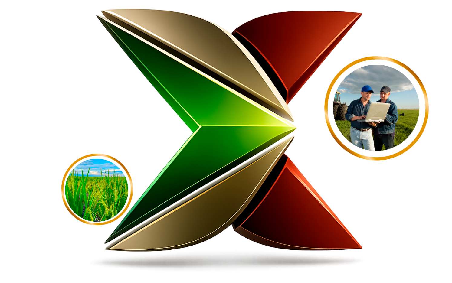 Enxerto Agro