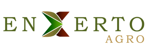 Site—Enxerto-FONTE-01-(3)