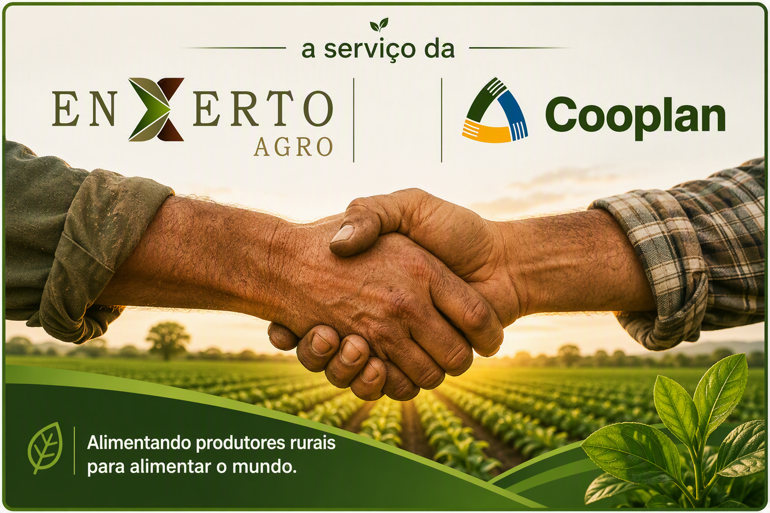 Parceria Enxerto Agro e COOPLAN